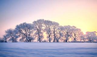 描写冬天雪景的诗句 形容冬天阴冷,但未下雪的诗句有哪些